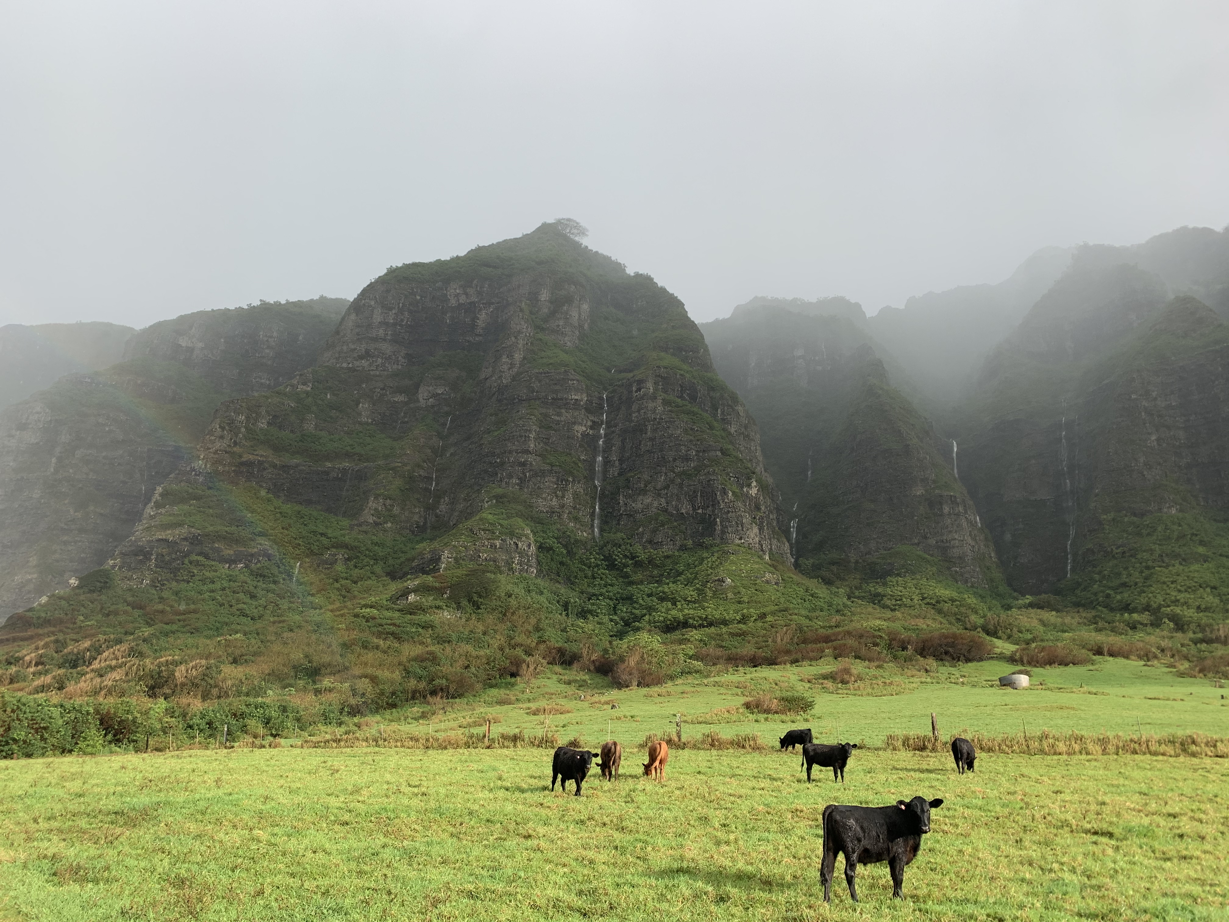 Kualoa